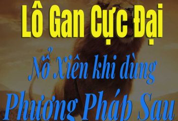 lô-gan-cực-đại